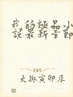 我的极品小姨小说最新章节下载