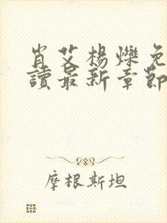 肖艾杨烁免费阅读最新章节