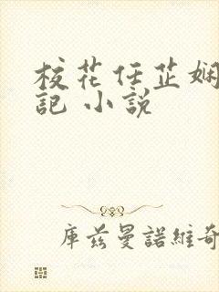 校花任芷娴的日记 小说