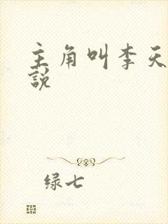 主角叫李天的小说