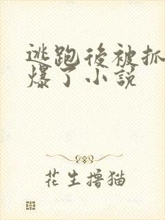 逃跑后被抓回来爆了小说