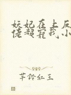 妖妃在上反派大佬超宠我小说