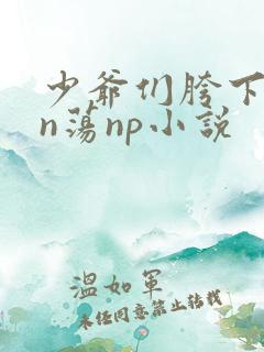 少爷们胯下yin荡np小说