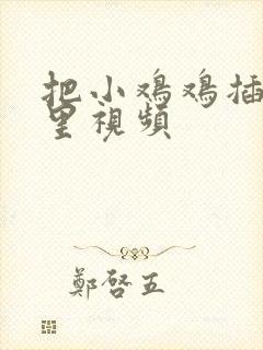 把小鸡鸡插进逼里视频