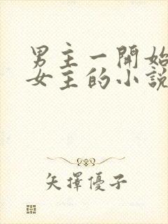 男主一开始不爱女主的小说