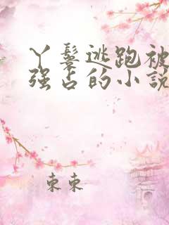 丫鬟逃跑被男主强占的小说