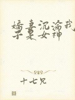 娇妻沉沦我的妻子是女神