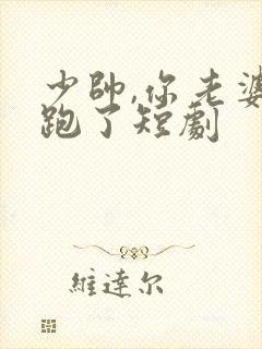 少帅,你老婆又跑了短剧