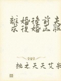 离婚后前夫哭着求复婚正版