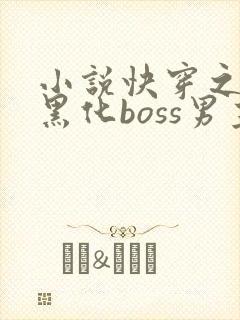 小说快穿之拯救黑化boss男主txt