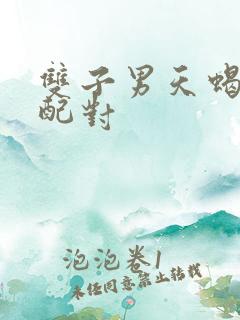 双子男天蝎女座配对