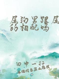 属狗男跟属马女的相配吗