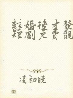 离婚后才发现爱短剧免费观看全集