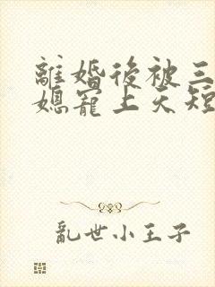 离婚后被三个儿媳宠上天短剧