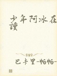 少年阿冰在线阅读