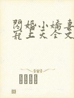 闪婚小娇妻大叔宠上天全文免费阅读无弹窗