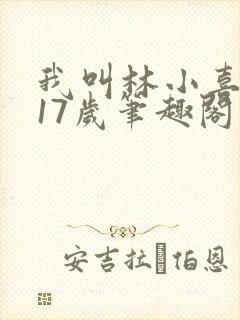 我叫林小喜今年17岁笔趣阁