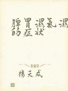 脾胃湿气湿热重的症状