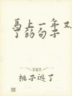 马上一年又过去了的句子