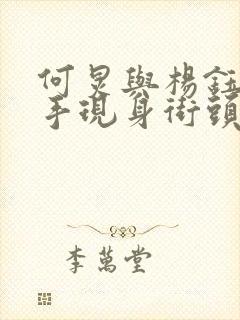 何炅与杨钰莹牵手现身街头