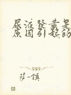 尿液发黄是什么原因引起的