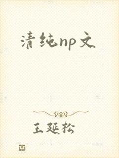 清纯np文