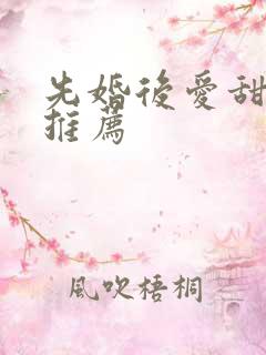 先婚后爱甜宠剧推荐