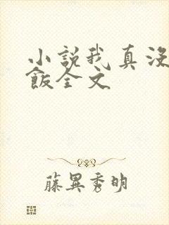 小说我真没吃软饭全文