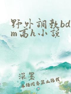 野外调教bdsm高h小说