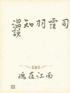 温知羽霍司砚小说