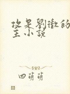 攻是刘彻的双男主小说