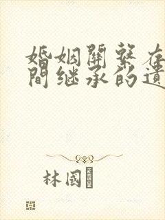 婚姻关系存续期间继承的遗产