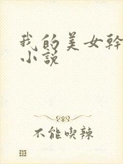 我的美女干姐姐小说