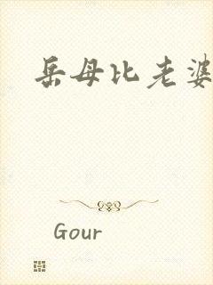 岳母比老婆更好