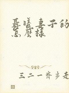 聂曦妻子的结局怎么样