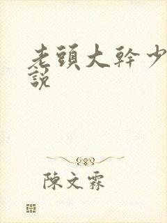老头大干少妇小说