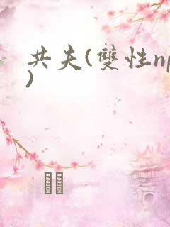 共夫(双性np)