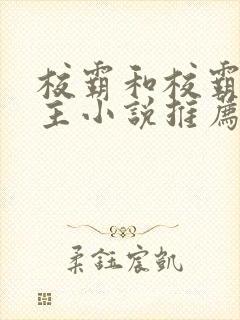 校霸和校霸双男主小说推荐