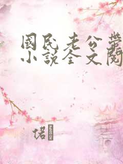 国民老公带回家小说全文阅读