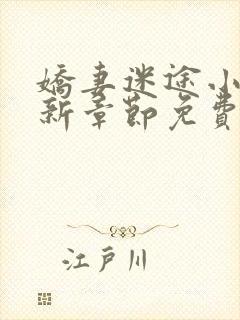 娇妻迷途小说最新章节免费阅读