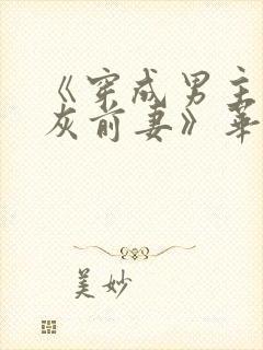 《穿成男主的炮灰前妻》华阙阙