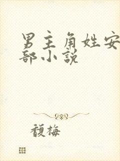男主角姓安的全部小说
