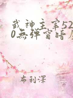 武神主宰5200无弹窗暗魔师