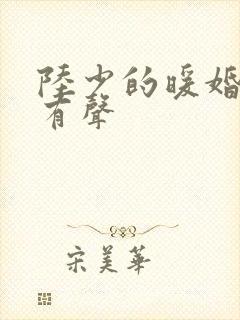 陆少的暖婚新妻有声