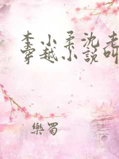 李小柔沈老板的穿越小说叫什么名字