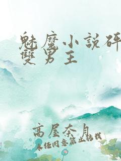 魅魔小说砰砰砰双男主