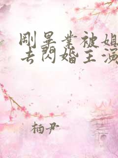 刚毕业被姐姐拉去闪婚主演