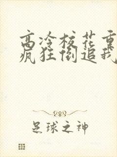 高冷校花重生后疯狂倒追我