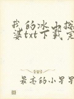 我的冰山总裁老婆txt下载完本