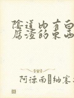 阴道内有白色豆腐渣的东西